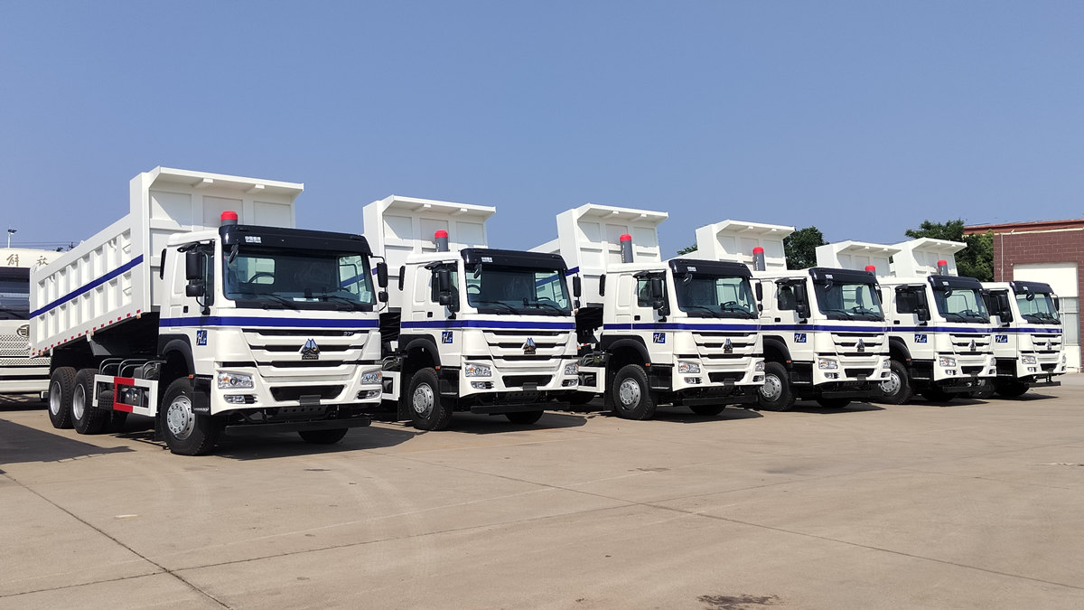 Kund i Saudiarabien inspekterar HOWO 20tons tippbil